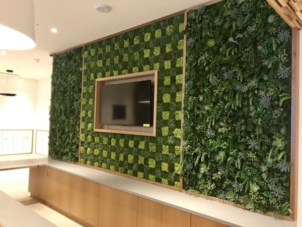 Sammalseinä biofilia viherseinä design -seinäyksikkö, jossa on sammal