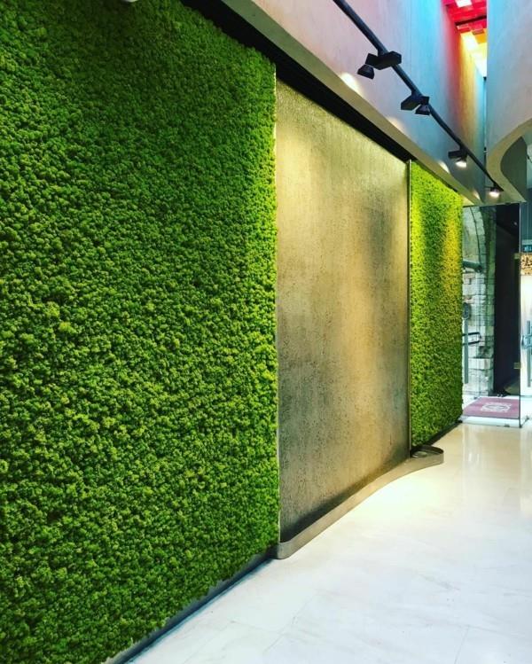 Sammalseinä biofilia vihreä seinäverhous betoniseinä