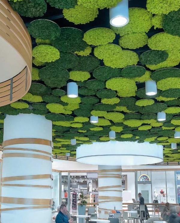 Mooswand Biophilia, moderni sisustus, elävöittää kattoa luovasti