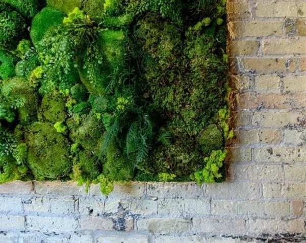 Tee sammalseinä itse Biophilia Living trendit 2020 Sammalityypit Tiiliseinä
