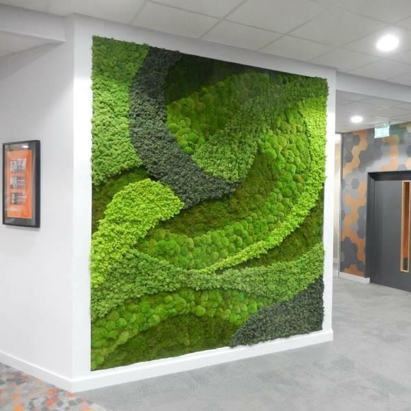 Tee sammalseinä itse Biophilia Living trendit Luo sammalkuvioita
