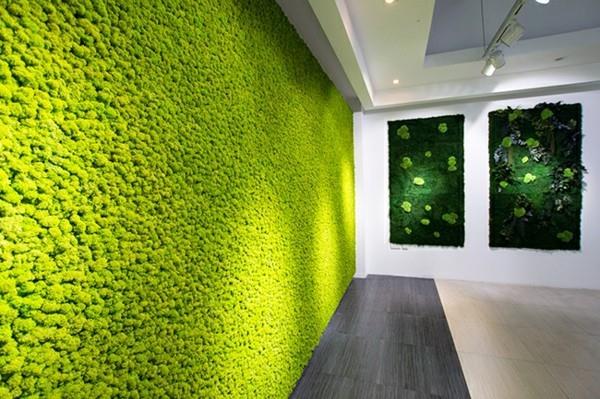 Tee sammalseinä itse Biophilia Living trendit sammal