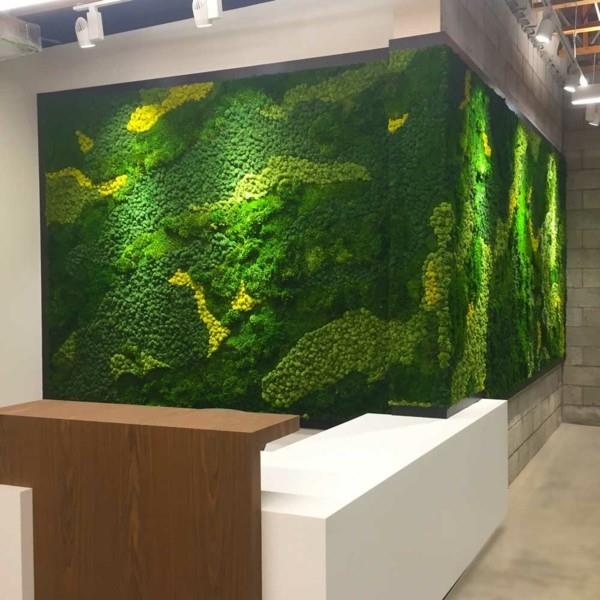 Tee sammalseinä itse Biophilia Living trendit Sammalivärien sekoittaminen
