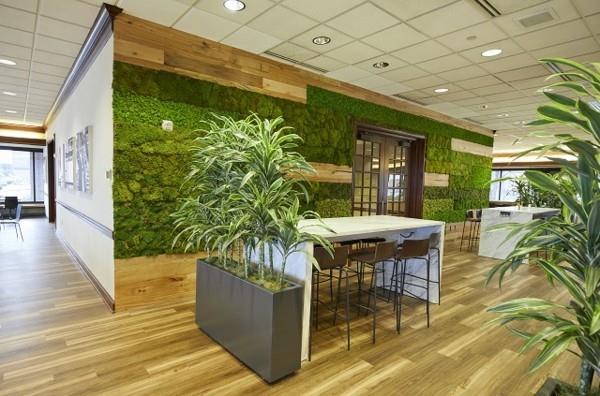 Tee sammalseinä itse Biophilia Living trendit Sisäkasvit