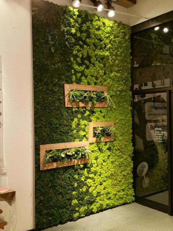 Tee sammalseinä itse Biophilia Living -suuntaukset säilyneen sammaleen säilyttämiseksi