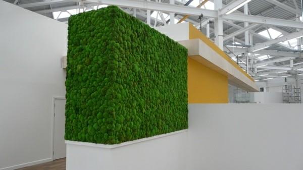 Tee sammalseinä itse Biophilia Living -suuntaukset säilyttävät sammalta