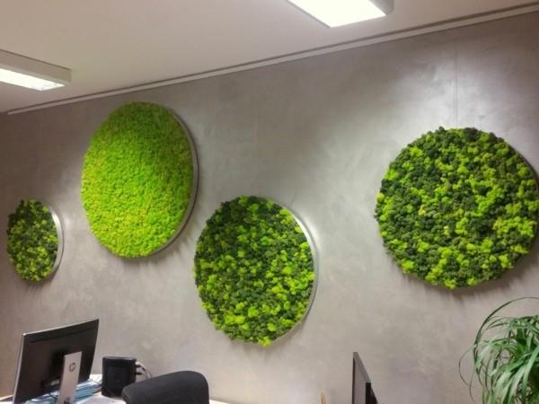 Tee sammalseinä itse Biophilia Toteuta eläviä suuntauksia Koristele betoniseinä