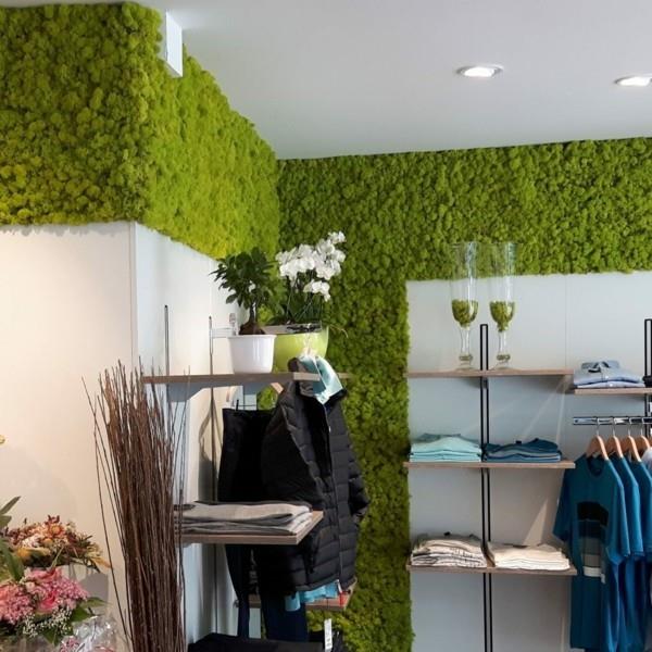 Tee sammalseinä itse Biophilia Toteuta eläviä suuntauksia Seinäverhous