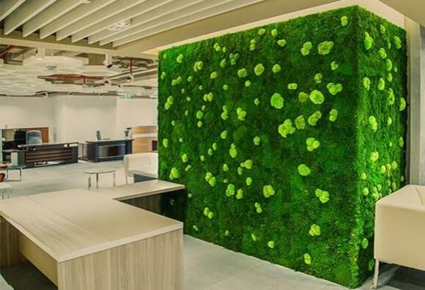 Tee sammalseinä itse Biophilia Toteuta eläviä suuntauksia elävän seinän suunnittelulla