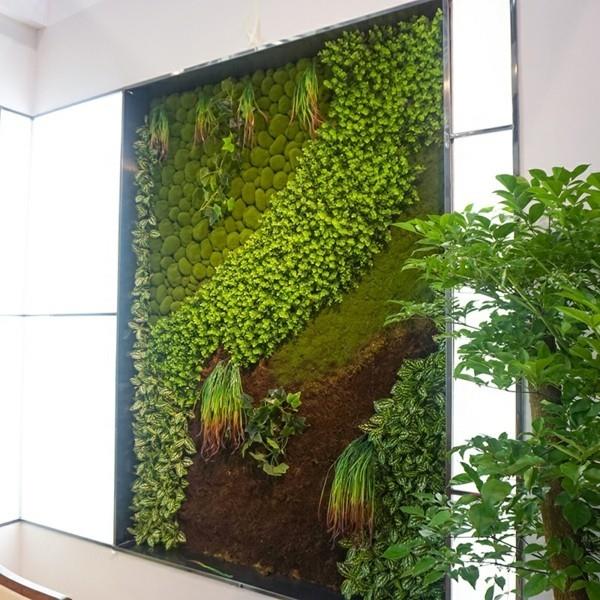 Tee sammalseinä itse Biophilia Living -trendit toteuttavat reheviä sisäkasveja