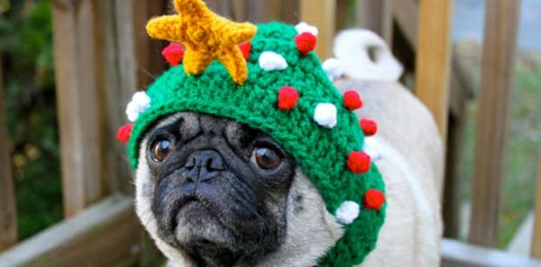 Hatut koirat lemmikkieläinten vaatteet juhlava kuusen
