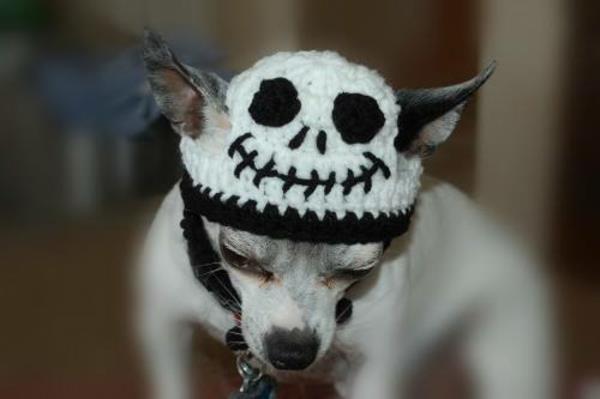 Hatut halloween puku koirat lemmikkieläinten vaatteet kammottava