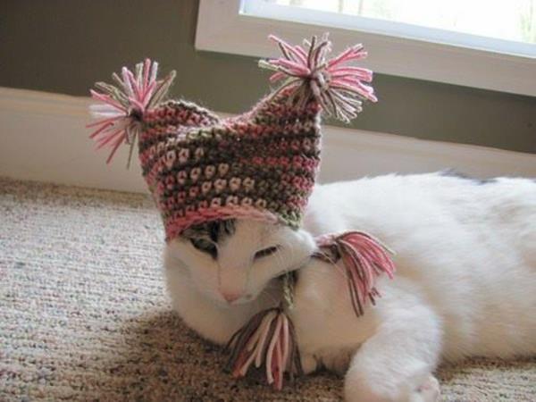 Hatut koirat lemmikkieläinten vaatteet kissa