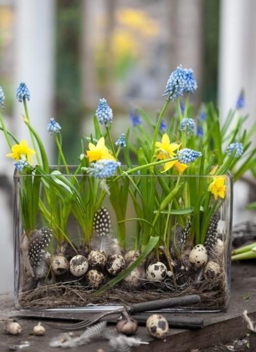 Ideoita narsissin koristeluun Varhaiset kukkijat ovat osa pääsiäiskoristelua kotona