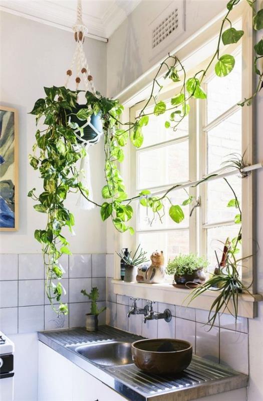 Ivy keittiössä tuo lisää vihreitä kasveja ikkunaan
