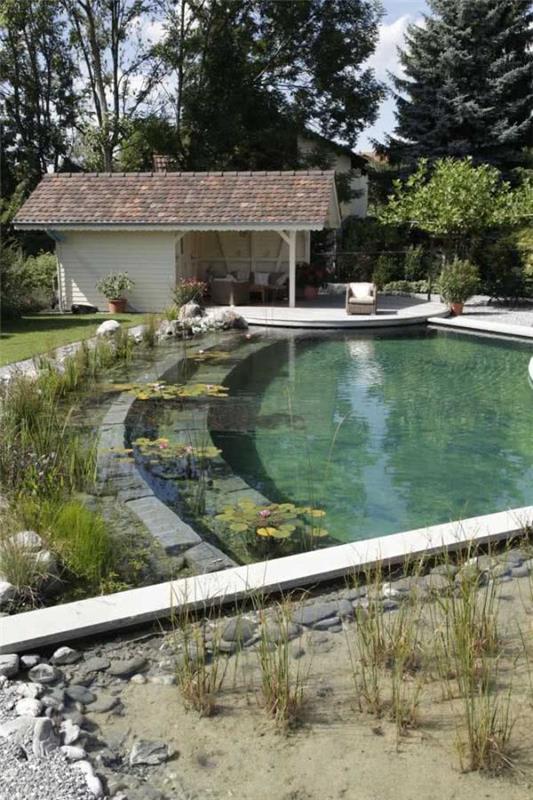 Luonnollinen puutarha trendi luonnollinen uima -allas