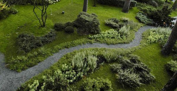 Luo luonnollinen puutarha - kaunis niitty - puutarhaideoita