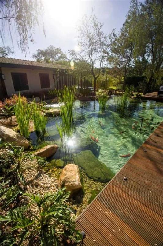 Perusta luonnollinen uima -altaan luonnollinen puutarha