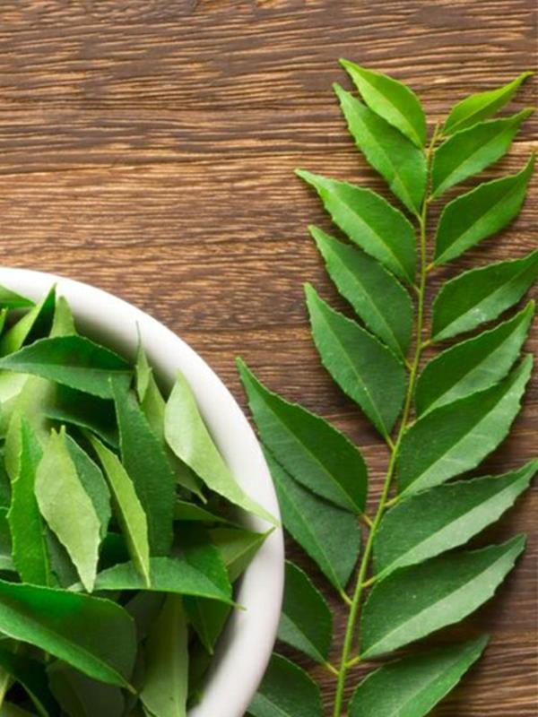 Neem Oil Neem Tree Leaves Terveyshyödyt