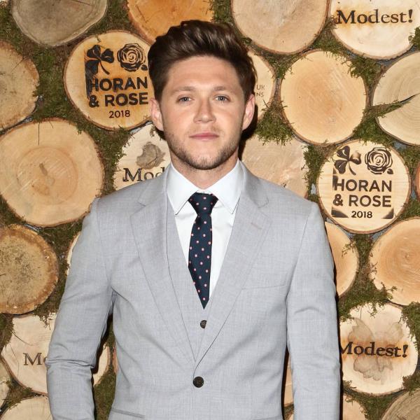 Niall Horan loistava muotokuva