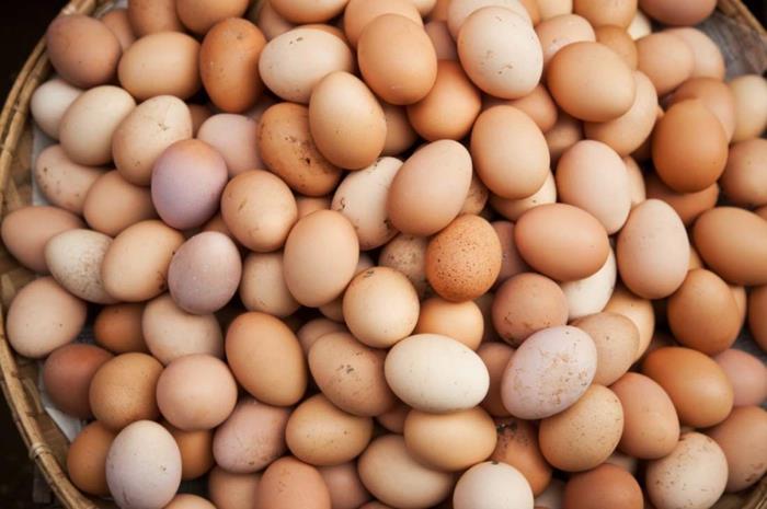 Omega -3 -rasvahapot ruoka terveellinen syöminen munat
