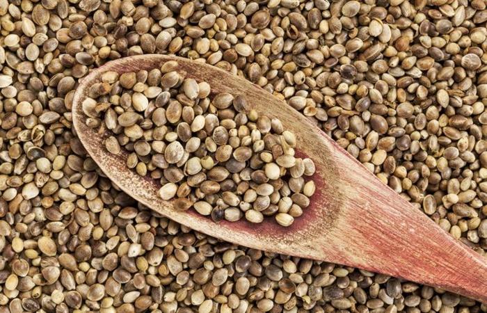 Omega 3 -rasvahapot elintarvikkeet terveellinen syöminen valinta pähkinäöljy hamppusiemenet