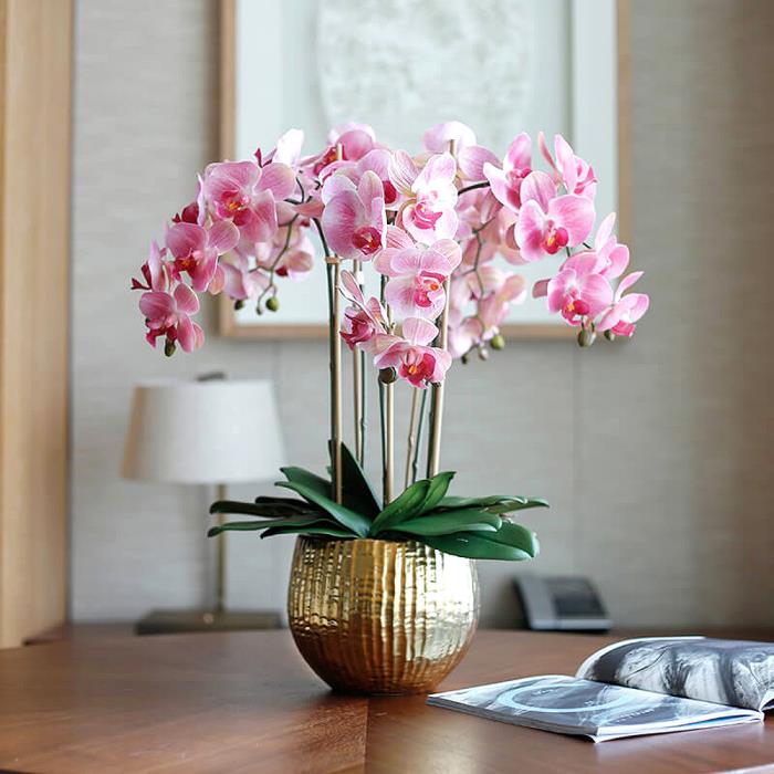 Orkideoista huolehtiminen oikein monivuotiset kauniit vaaleanpunaiset kukat pöytäkoriste kultainen kukkaruukku