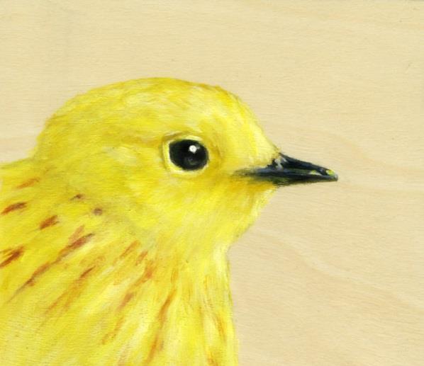 Alkuperäiset lahjaideat tyttöystävän lahjaksi paras ystävä keltainen lintu
