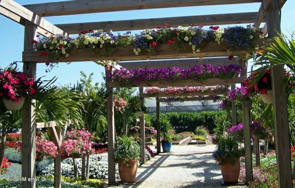 Pergola rakentaa modernin oleskelualueen lehtimaja istuttaa kukkia