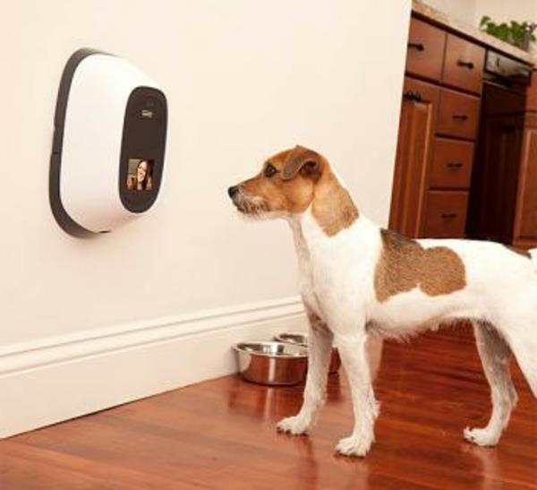 PetChatz -verkkokamera ja automaattinen syöttölaite lemmikkieläinten tarkistuslaitteille koira