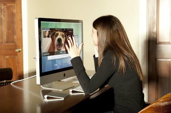 PetChatz -verkkokamera ja automaattinen syöttölaite lemmikkieläinten tarkistamiseen