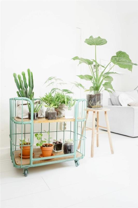 Plant stand uskalla kierrättää ideoita
