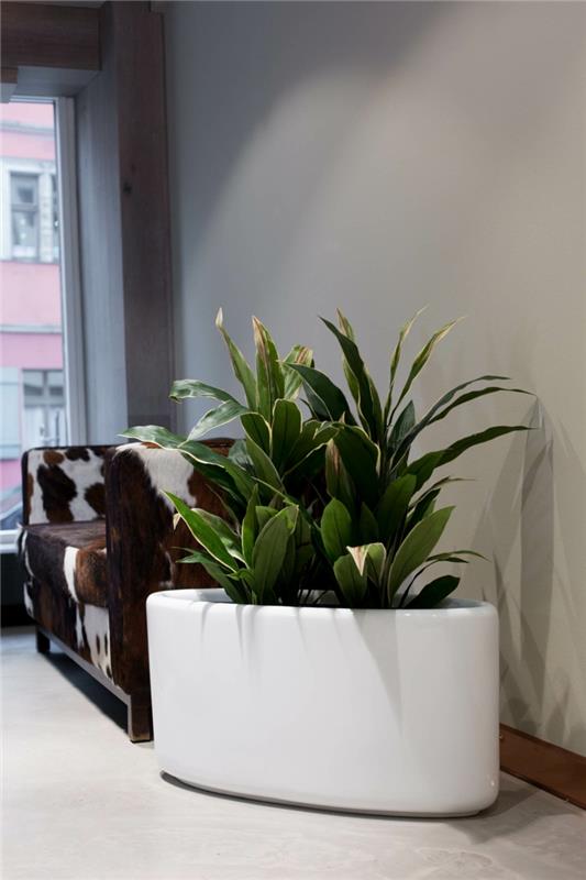 Planter lasikuitu valkoinen soikea huonekasvit odotushuone