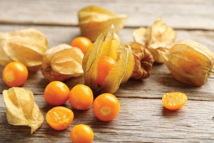 Physalis eksoottiset hedelmät pienet oranssit hedelmät ohuissa kuorissa