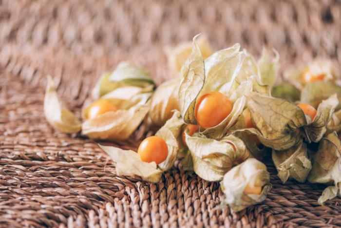 Physalis eksoottiset hedelmät pienet oranssit hedelmät
