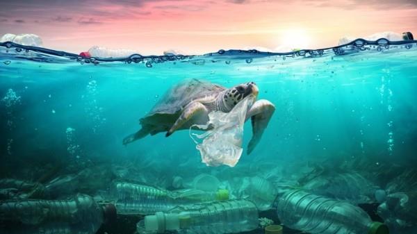 Muovittomat ostoskassit uudelleenkäytettävät pussit muovijätteet maailman valtameri