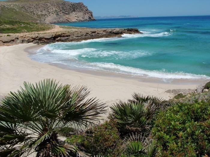 Platja de Sa Font Celada vaellus Mallorcalla