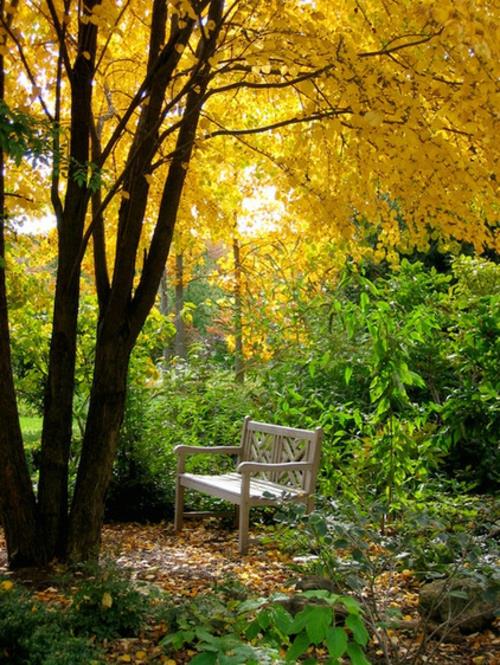Upea puutarha suunnittelu ruoho penkki keltaiset lehdet syksy