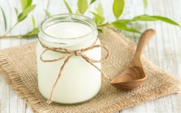 Probioottiravinto orgaaninen jogurtti terve suolistofloora