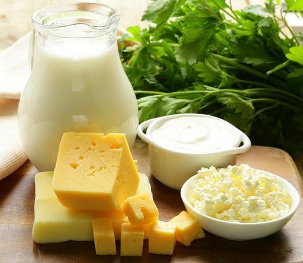 Probioottiset elintarvikkeet, kypsytetyt juustot, terve suoliston kasvisto