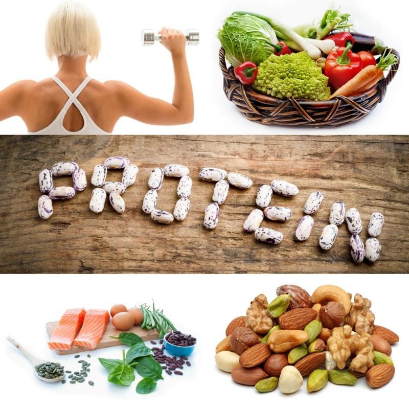 Proteiinin lähteet kasviproteiini proteiinipitoiset vihannekset