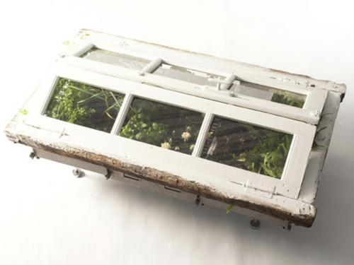 Kierrätetyt huonekalut, joita käytetään kasvisäiliöinä puulasi -ikkuna