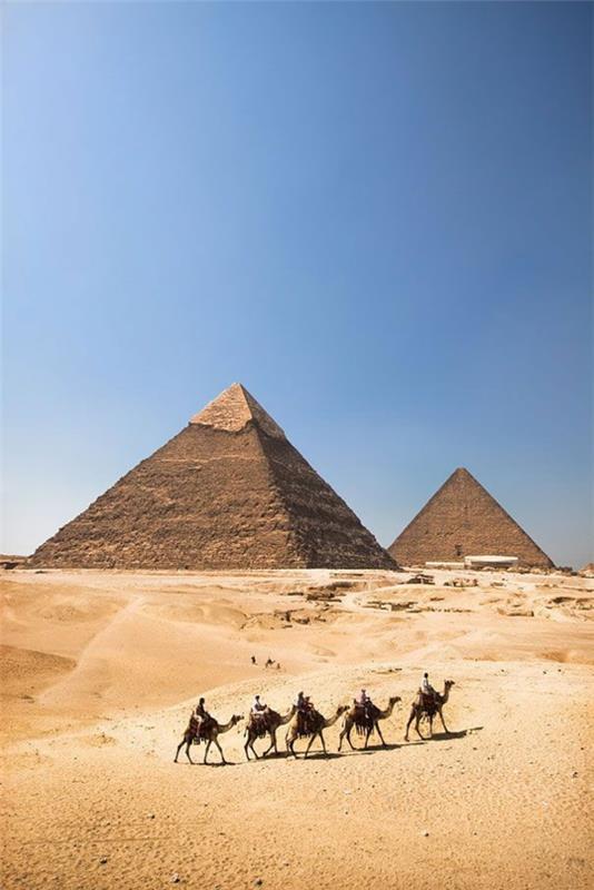 Matkustaa Egyptiin lomat kamelit