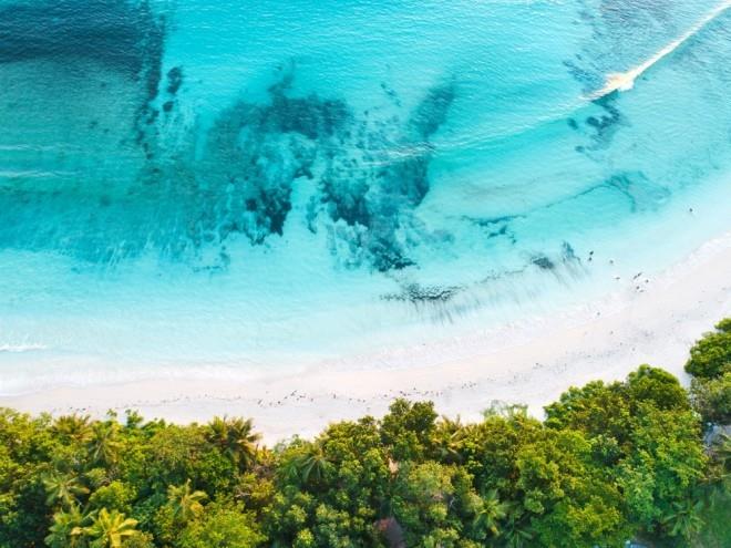 Kohteet 2019 Seychellien kaunis ranta tekee vedenalaista urheilukuvaa