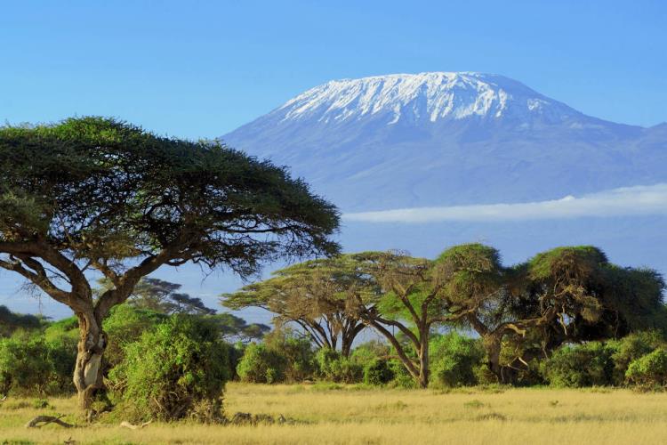 Kohteet 2020 Kilimanjaro lumessa Matka Afrikan katolle