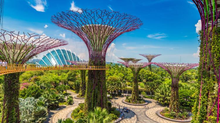 Kohteet 2020 Singapore futuristinen puutarha lahden tuntemattomien puulajien luona