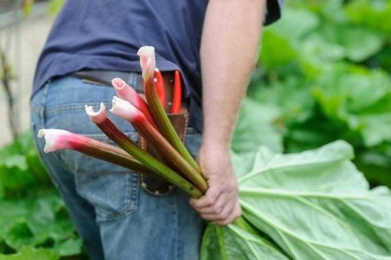 River Cottage with Craig Rudman (4. syyskuuta 2012)