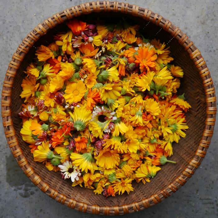 Marigolds valoa ja iloa