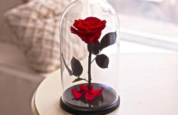 Ruusu lasissa sivupöydällä herättää kaikkien huomion