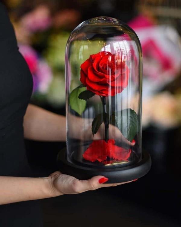 Ruusu lasissa on täydellinen lahja, joka antaa paljon iloa